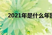 2021年是什么年别（2021年是什么年）