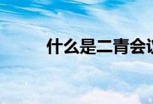 什么是二青会议（什么是二青会）