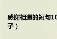 感谢相遇的短句10个字（感谢相遇的唯美句子）