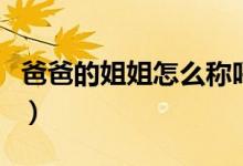 爸爸的姐姐怎么称呼呢（爸爸的姐姐怎么称呼）