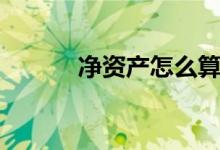 净资产怎么算（净资产的计算）