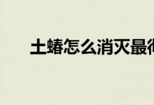 土蝽怎么消灭最彻底（土蝽如何消灭）