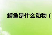 鳄鱼是什么动物（鳄鱼主要以什么为食）