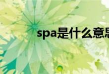 spa是什么意思的（spa的意思）