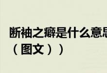 断袖之癖是什么意思呀（断袖之癖是什么意思（图文））