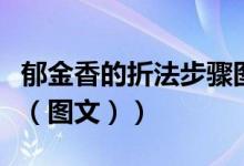 郁金香的折法步骤图简单（郁金香的折法教程（图文））