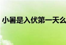 小暑是入伏第一天么（小暑是入伏第一天吗）