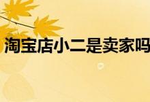 淘宝店小二是卖家吗（淘宝店小二是干嘛的）