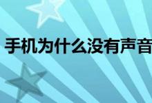 手机为什么没有声音（手机为什么没有声音）