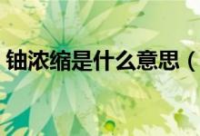 铀浓缩是什么意思（浓缩铀指的是什么东西）