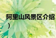 阿里山风景区介绍（阿里山旅游攻略（图文））