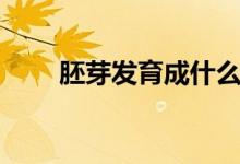 胚芽发育成什么（胚芽的发育形成）