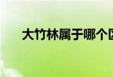 大竹林属于哪个区（大竹林是哪个区）
