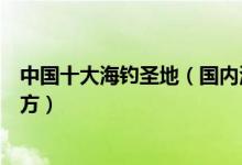 中国十大海钓圣地（国内海钓去哪里好国内最适合海钓的地方）