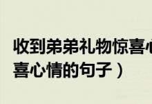 收到弟弟礼物惊喜心情句子（收到弟弟礼物惊喜心情的句子）
