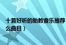 十首好听的胎教音乐推荐（适合胎教的轻音乐音乐胎教选什么曲目）