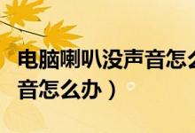 电脑喇叭没声音怎么办嗡嗡响（电脑喇叭没声音怎么办）