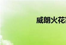  威朗火花塞几万公里换 