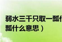 弱水三千只取一瓢什么意思（弱水三千只取一瓢什么意思）