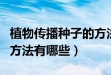 植物传播种子的方法有哪些（植物传播种子的方法有哪些）