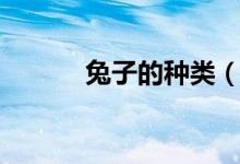 兔子的种类（兔子有几个种类）