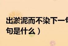 出淤泥而不染下一句什么（出淤泥而不染下一句是什么）