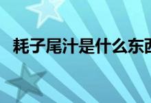 耗子尾汁是什么东西（耗子尾汁什么意思）