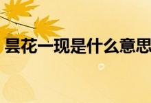 昙花一现是什么意思（昙花一现有什么意思）