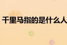 千里马指的是什么人（千里马代表什么人物）