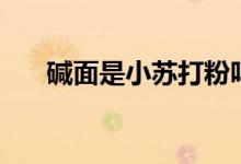 碱面是小苏打粉吗（碱面是小苏打吗）
