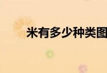 米有多少种类图片（米有多少种类）