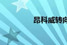  昂科威转向灯怎么不响了 