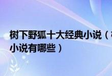 树下野狐十大经典小说（树下野狐作品盘点树下野狐好看的小说有哪些）