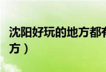 沈阳好玩的地方都有哪个景点（沈阳好玩的地方）