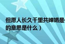 但愿人长久千里共婵娟是什么意思（但愿人长久千里共婵娟的意思是什么）