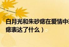 白月光和朱砂痣在爱情中表达的含义是什么（白月光与朱砂痣表达了什么）