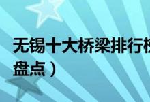 无锡十大桥梁排行榜（无锡的有名的现代桥梁盘点）