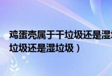 鸡蛋壳属于干垃圾还是湿垃圾肯定是吃垃圾（鸡蛋壳属于干垃圾还是湿垃圾）