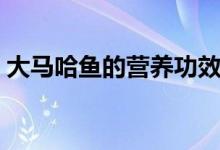 大马哈鱼的营养功效作用（大马哈鱼的做法）