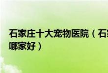石家庄十大宠物医院（石家庄动物医院排名石家庄动物医院哪家好）