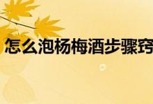 怎么泡杨梅酒步骤窍门（教您杨梅酒怎么泡）