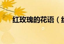 红玫瑰的花语（红玫瑰的花语是什么）