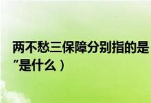 两不愁三保障分别指的是（“两不愁三保障”中的“三保障″是什么）