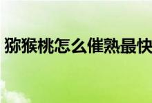 猕猴桃怎么催熟最快方法（猕猴桃怎么去皮）