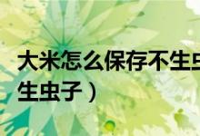 大米怎么保存不生虫子（大量大米怎么保存不生虫子）