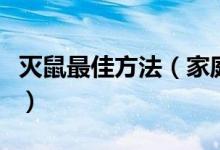 灭鼠最佳方法（家庭最有效的灭鼠方法是什么）