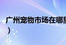 广州宠物市场在哪里（广州宠物狗市场有哪些）