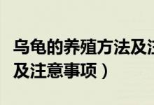 乌龟的养殖方法及注意事项（乌龟的养殖方法及注意事项）