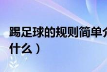 踢足球的规则简单介绍幼儿（踢足球的规则是什么）