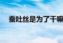 蚕吐丝是为了干嘛（蚕吐丝是为了什么）
